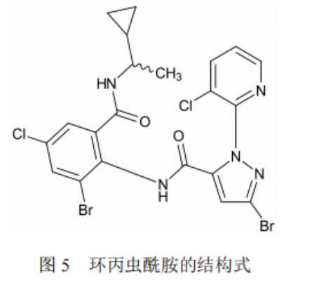 飘雪电影
